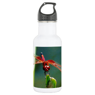 Frontal Red and Black Dragonfly Edelstahlflasche