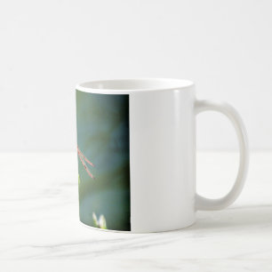 Frontal Red and Black Dragonfly Kaffeetasse