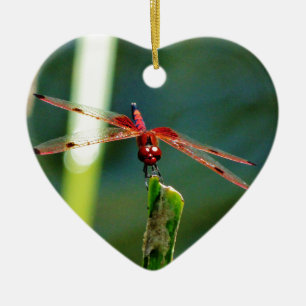 Frontal Red and Black Dragonfly Keramikornament