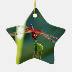 Frontal Red and Black Dragonfly Keramikornament