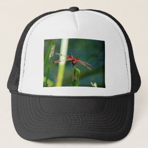 Frontal Red and Black Dragonfly Truckerkappe