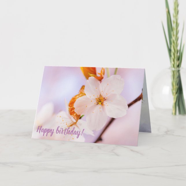 Frontalansicht der Sakura-Blume in der Frühjahrssa Karte (Vorderseite)