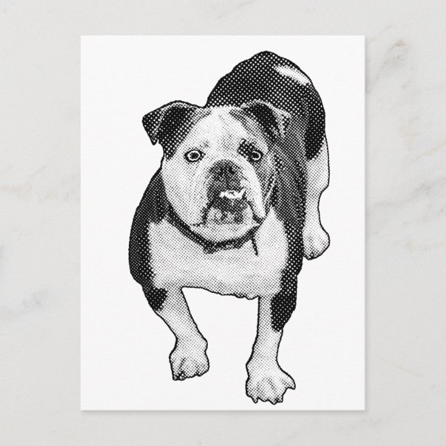 Frontale Pose, ruhiger Bulldogge Hinweis Postkarte (Vorderseite)