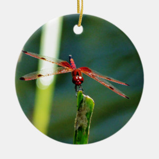 Frontale rote und schwarze Libelle Keramikornament
