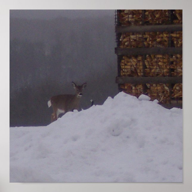 Frontansicht-Hirsch auf dem Bauernposter Poster (Vorne)