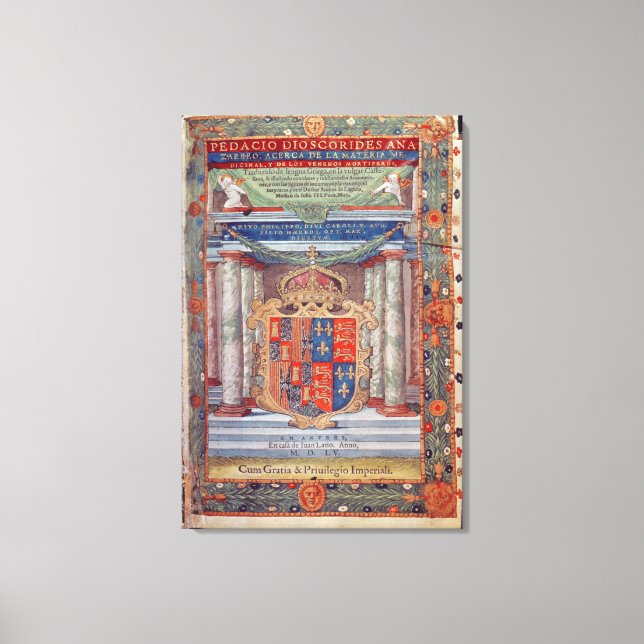 Frontispiece to Dioscorides Leinwanddruck (Vorderseite)