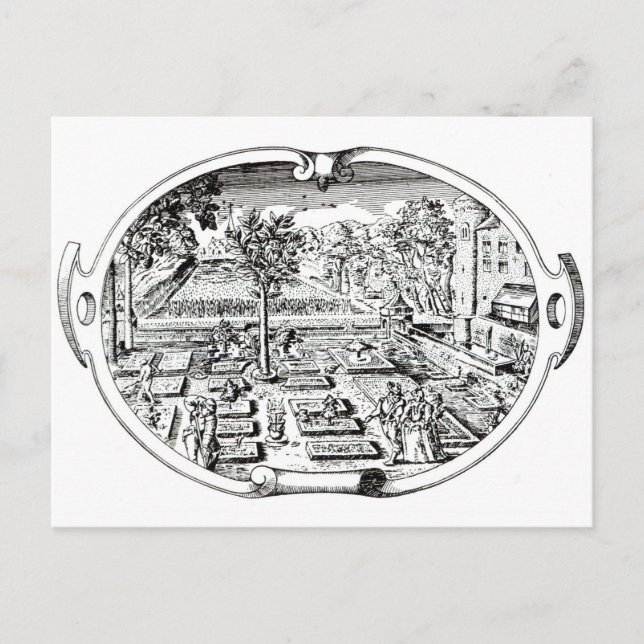 Frontispiece von 'The Herball', von John Gerard ( Postkarte (Vorderseite)