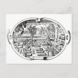 Frontispiece von 'The Herball', von John Gerard ( Postkarte