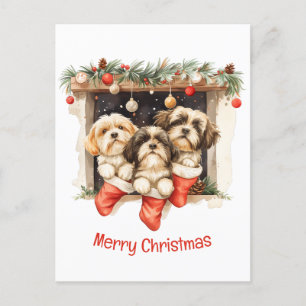 Frory Christmas Shih Tzu Dogs Postkarte