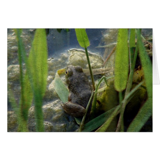 Frosch (Vorderseite (Horizontal))