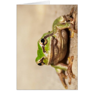 FROSCH