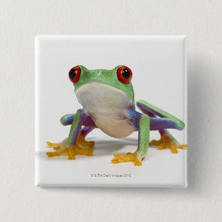 Frosch 2 button