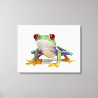Frosch 2 leinwanddruck