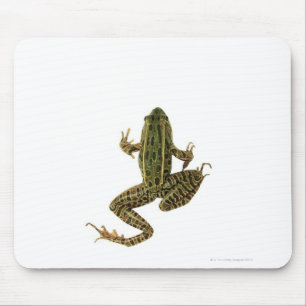 Frosch 2 mousepad
