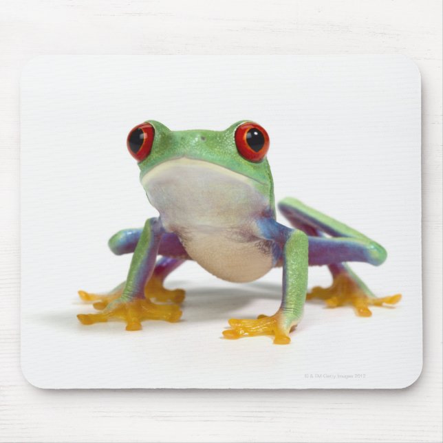 Frosch 2 mousepad (Vorne)