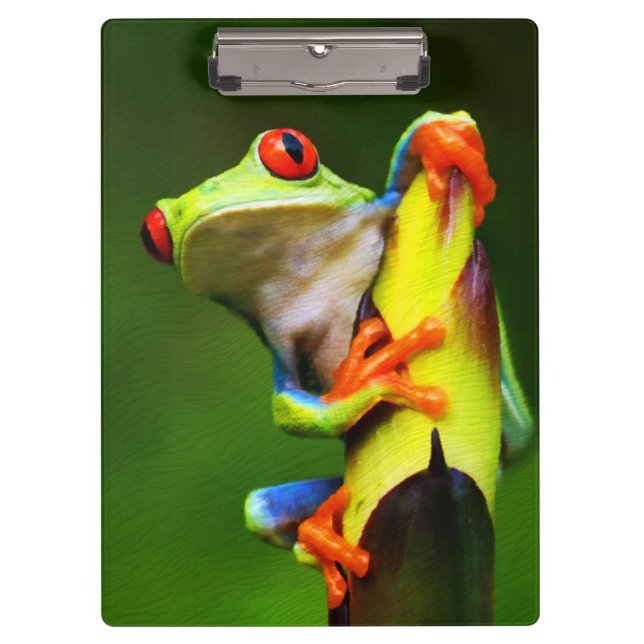 Frosch 2 Zwischenablage Klemmbrett (Vorderseite)