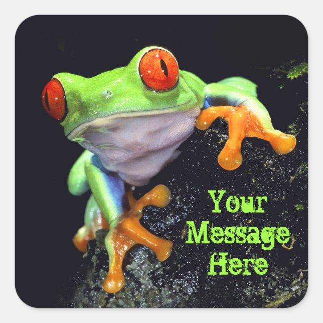 Frosch-3-Aufkleber Quadratischer Aufkleber (Vorderseite)