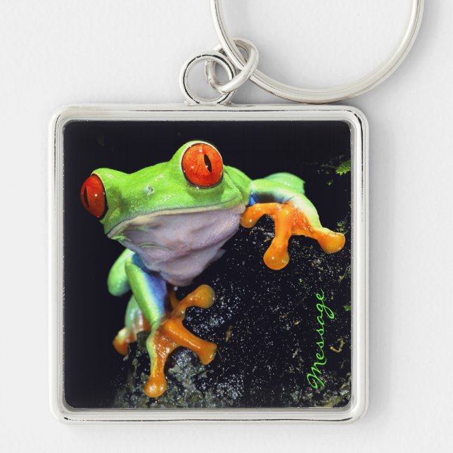 Frosch 3 Schlüsselanhänger (Vorne)