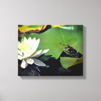Frosch Admiring Lotus Water Lily Blume