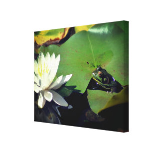 Frosch Admiring Lotus Water Lily Blume Leinwanddruck