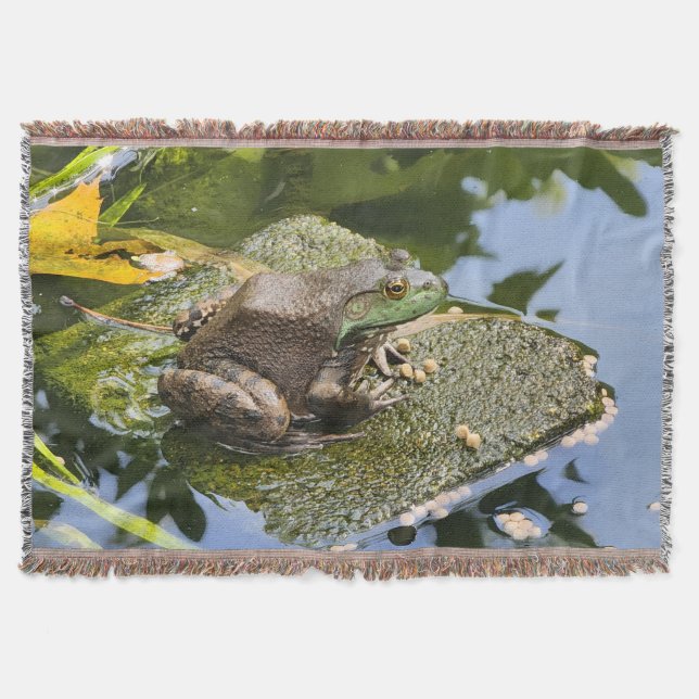 Frosch - Alter Knacker Decke (Vorderseite)