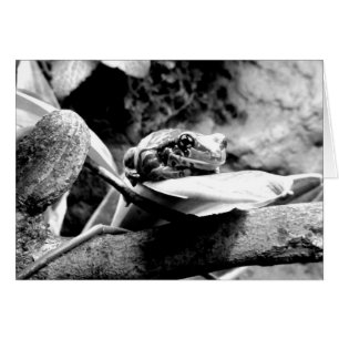 Frosch auf der linken B+W Grußkarte