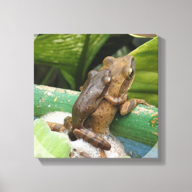 Frosch auf der Rückseite Leinwand drucken (Vorderseite)