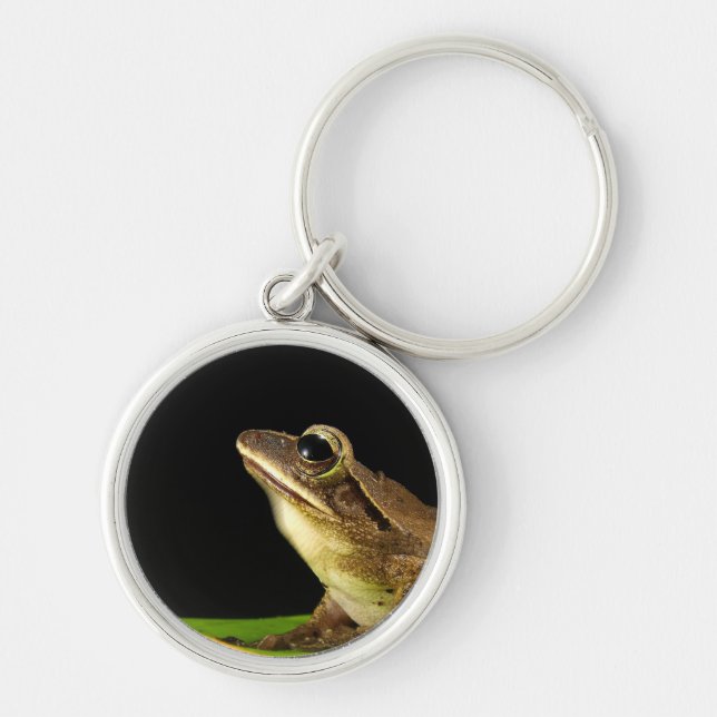 Frosch auf einem Blatt Schlüsselanhänger (Vorne)