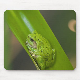 Frosch auf einem grünen Blatt Mousepad