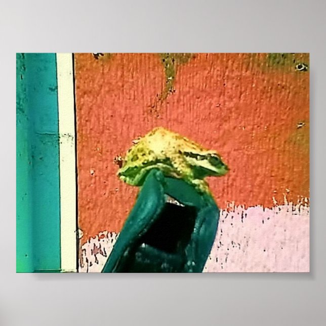 Frosch auf einem Handy-Fall Poster (Vorne)