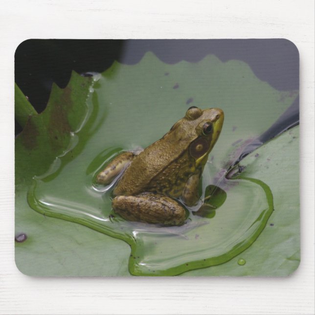 Frosch auf Lilien-Auflage Mousepad (Vorne)