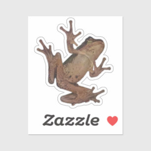 Frosch Aufkleber