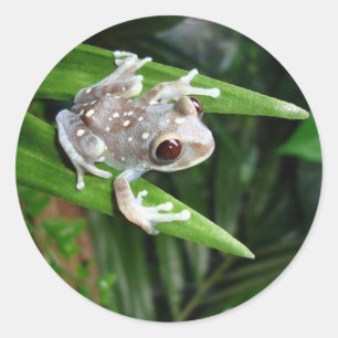 Frosch-Aufkleber Runder Aufkleber