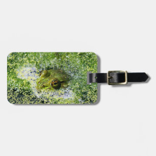 Frosch Augen in einem Teich Gepäckanhänger