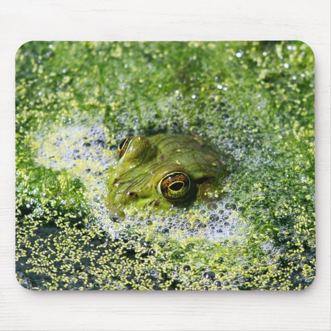 Frosch Augen in einem Teich Mousepad (Vorne)