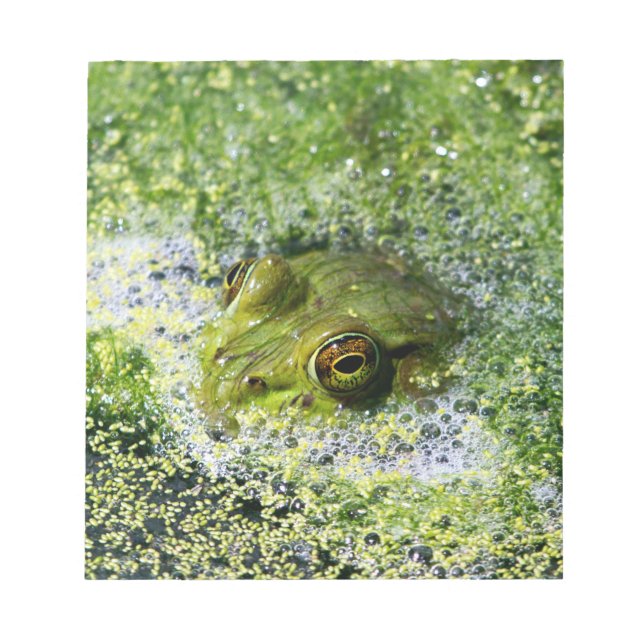 Frosch Augen in einem Teich Notizblock (Vorderseite)
