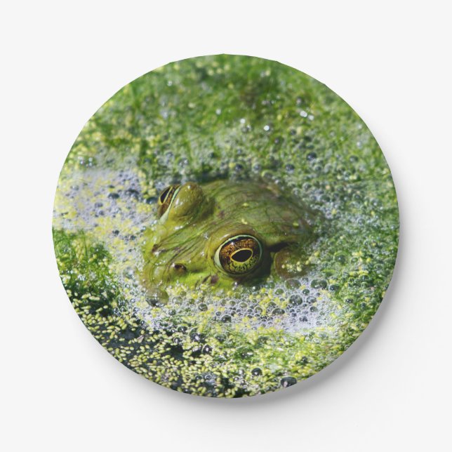 Frosch Augen in einem Teich Pappteller (Vorderseite)