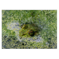 Frosch Augen in einem Teich