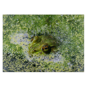 Frosch Augen in einem Teich Schneidebrett