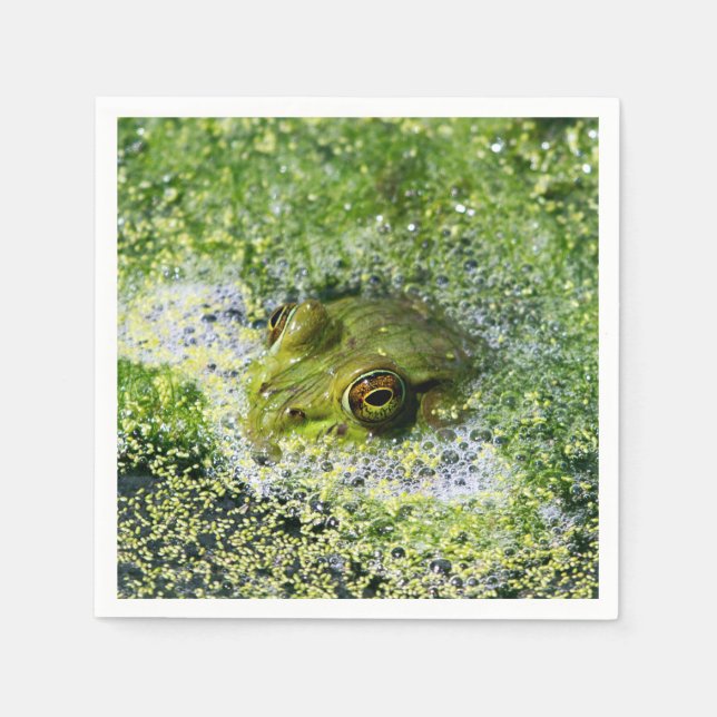 Frosch Augen in einem Teich Serviette (Vorderseite)