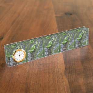 Frosch aus grünem Glas auf Schilf am Fluss, Namensplakette