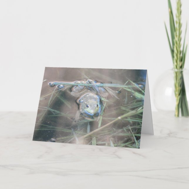 Frosch/Bete Karte (Vorderseite)