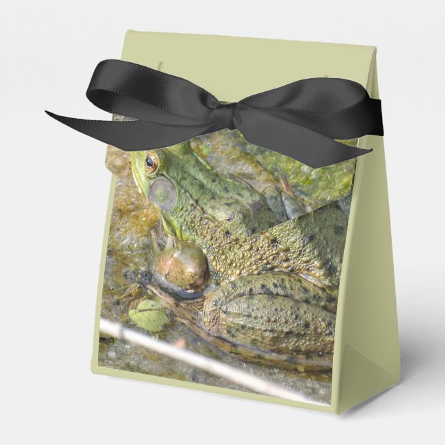 Frosch Birthday Party Kinder Junge Tier Geschenkschachtel (Vorderseite)