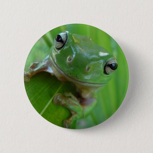 Frosch-Button Button (Vorderseite)