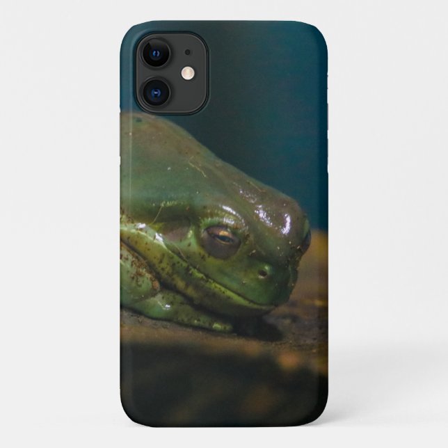 Frosch Case-Mate iPhone Hülle (Rückseite)