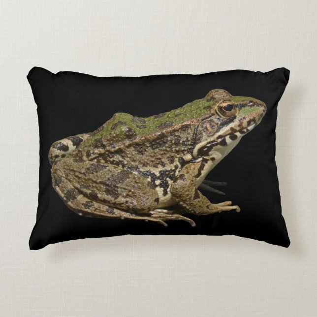 Frosch Dekokissen (Vorderseite)