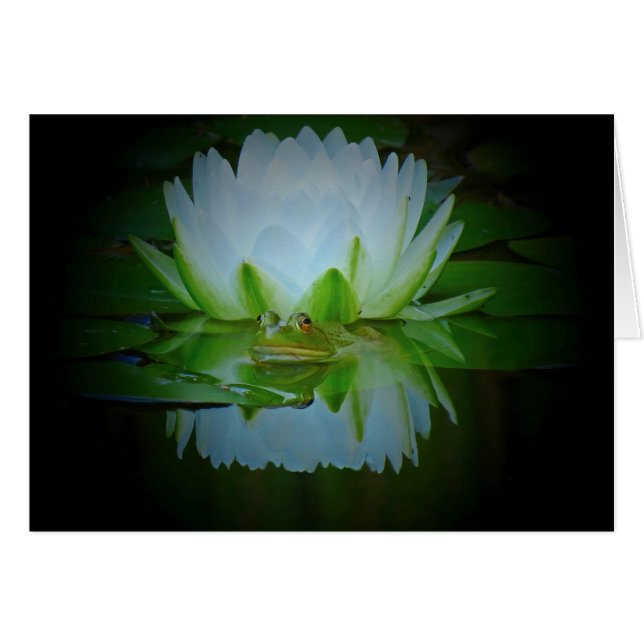 Frosch der Lüge (Vorderseite (Horizontal))