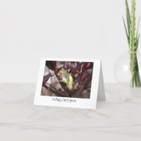 Frosch erhalten wohle Karte