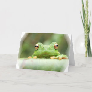 Frosch Eyes Grußkarte Karte