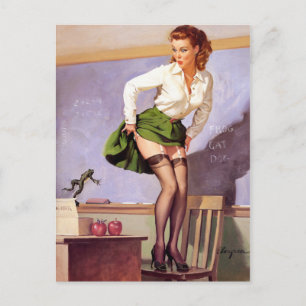Frosch für Lehrer Pin Up Postkarte